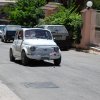 Burgio_2009 (499)